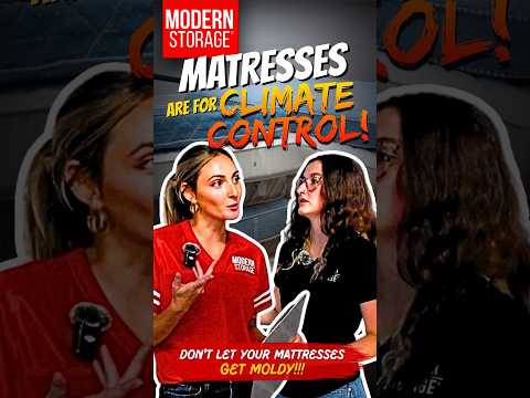 What SHOULD You Store in a Climate Control Unit | Modern Storage® Unpacked