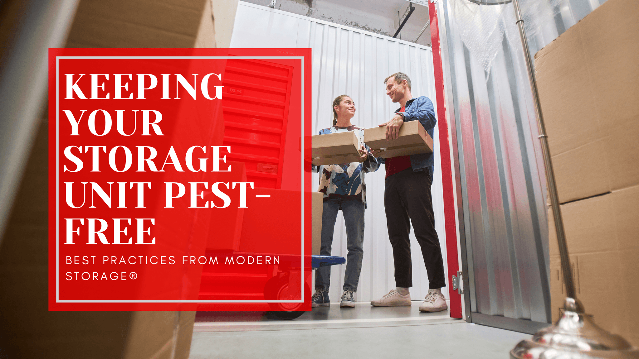 Modern Storage blog header for keeping your storage unit pest-free
