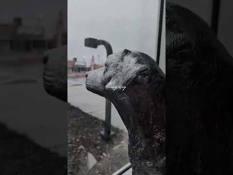 Raining and Moving | Modern Storage